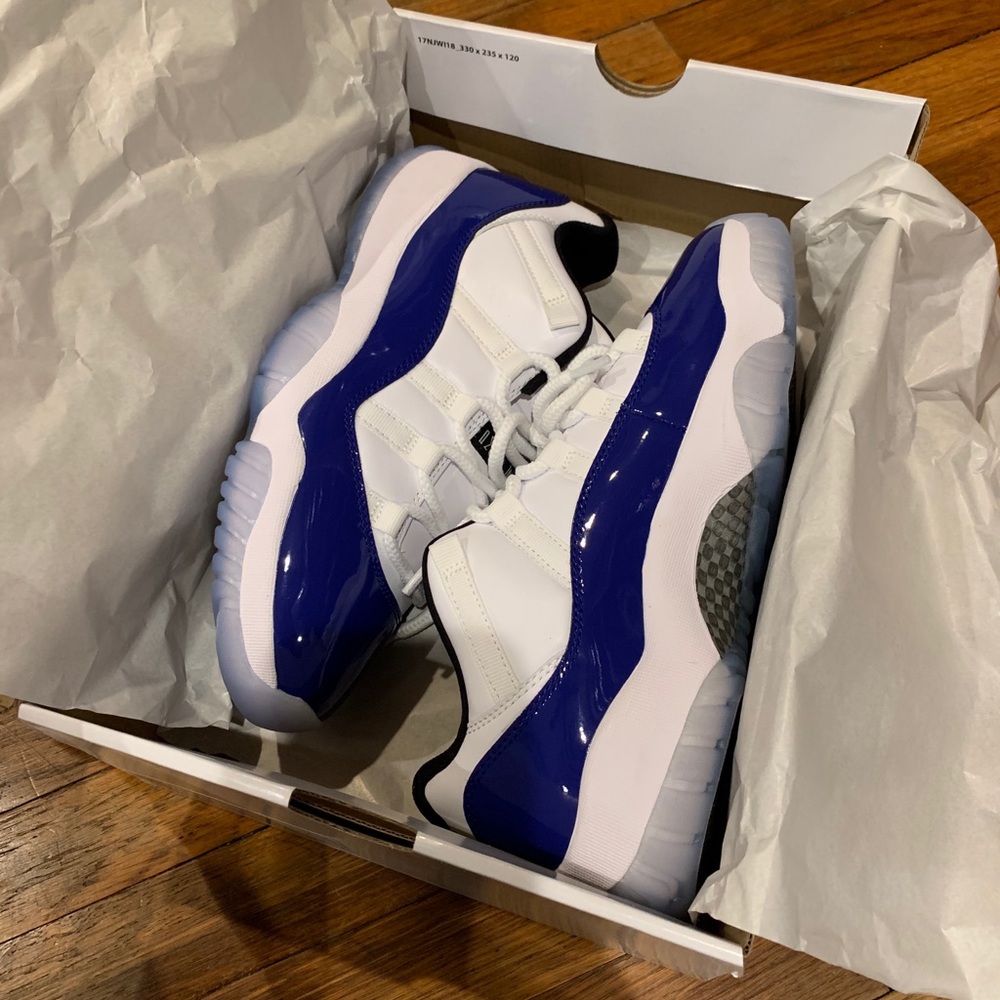 Concord Sketch Jordans